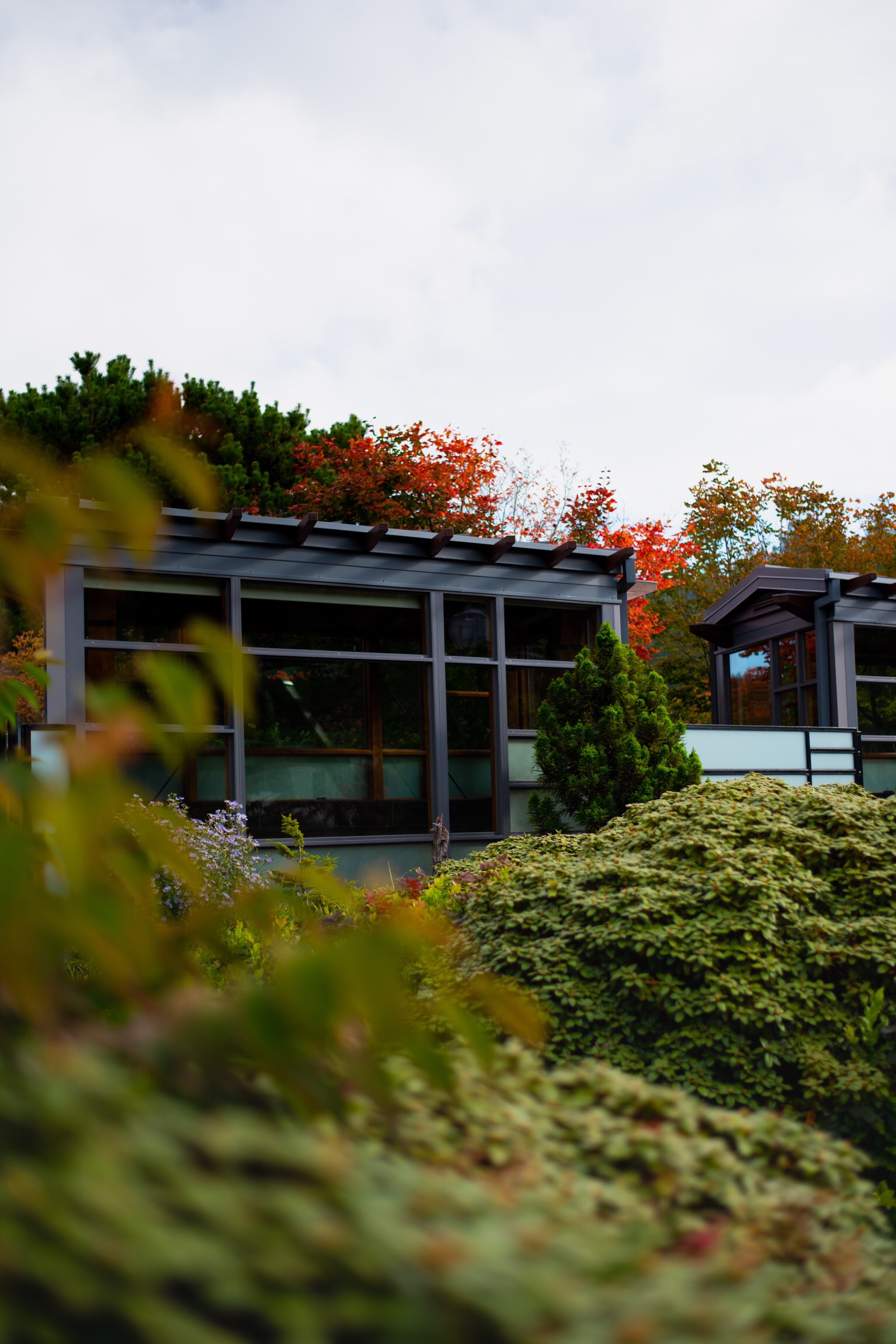 Maison en bois moderne